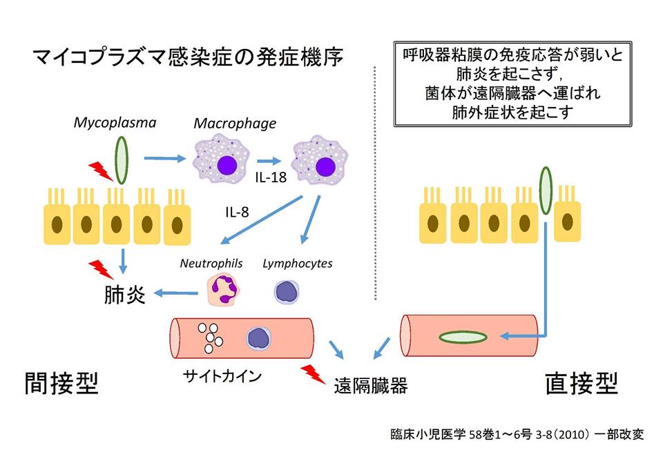 みみはら研修医 ページ 5 みみはら研修医 Real Time Line みみはら研修医 ページ 5 みみはら研修医 Real Time Line