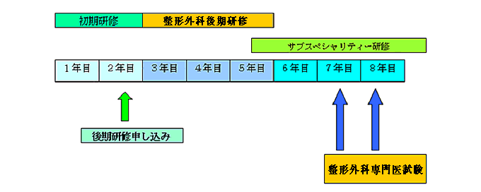 整形外科