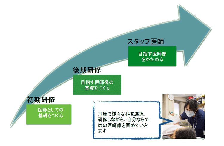 医師養成モデル