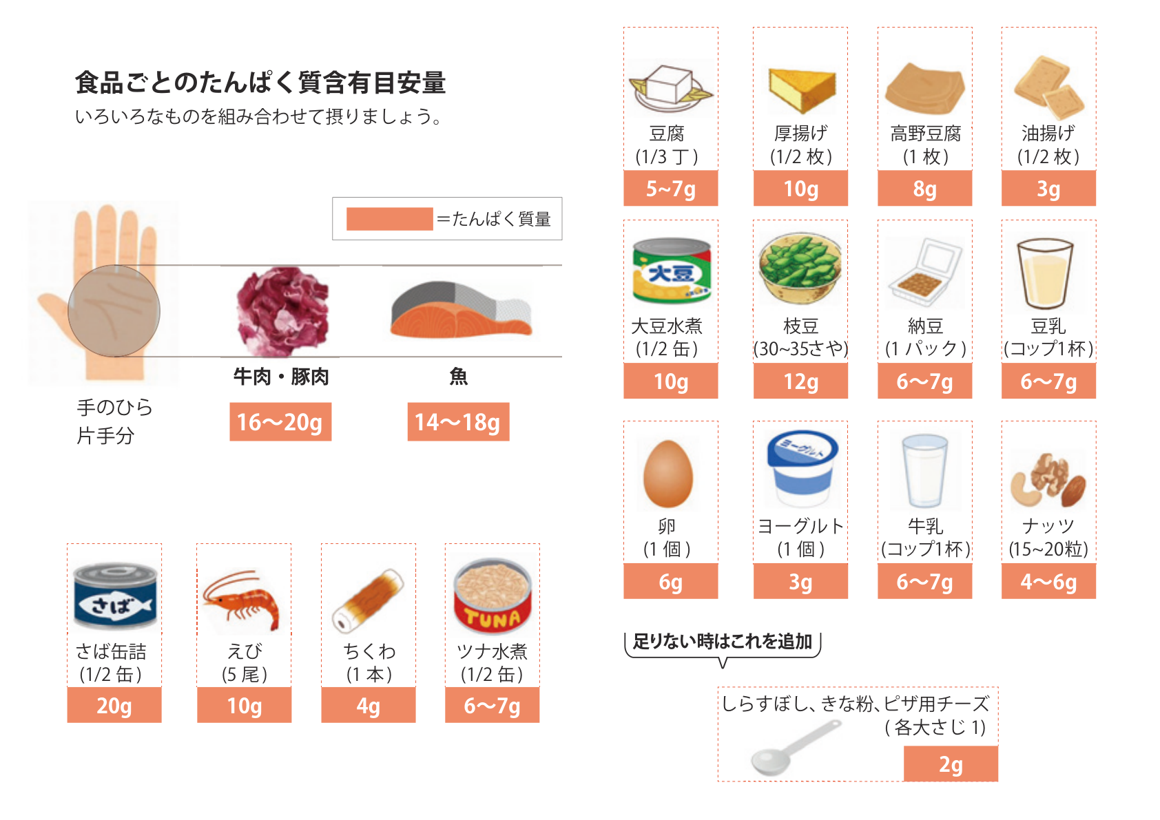 食品ごとのタンパク質含有目安量